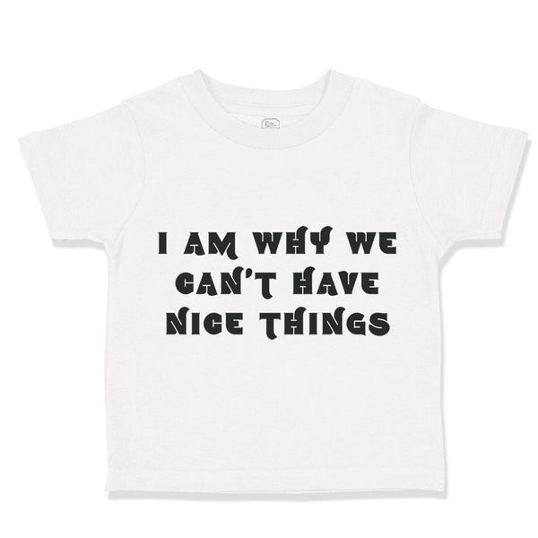 I Am Why We Can'T Have Nice Things Funny Humor