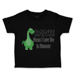 Toddler Clothes Rawr! Means I Love You in Dinosaur Dino Toddler Shirt Cotton