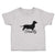 Family Pet Animal Dog Walking Silhouette